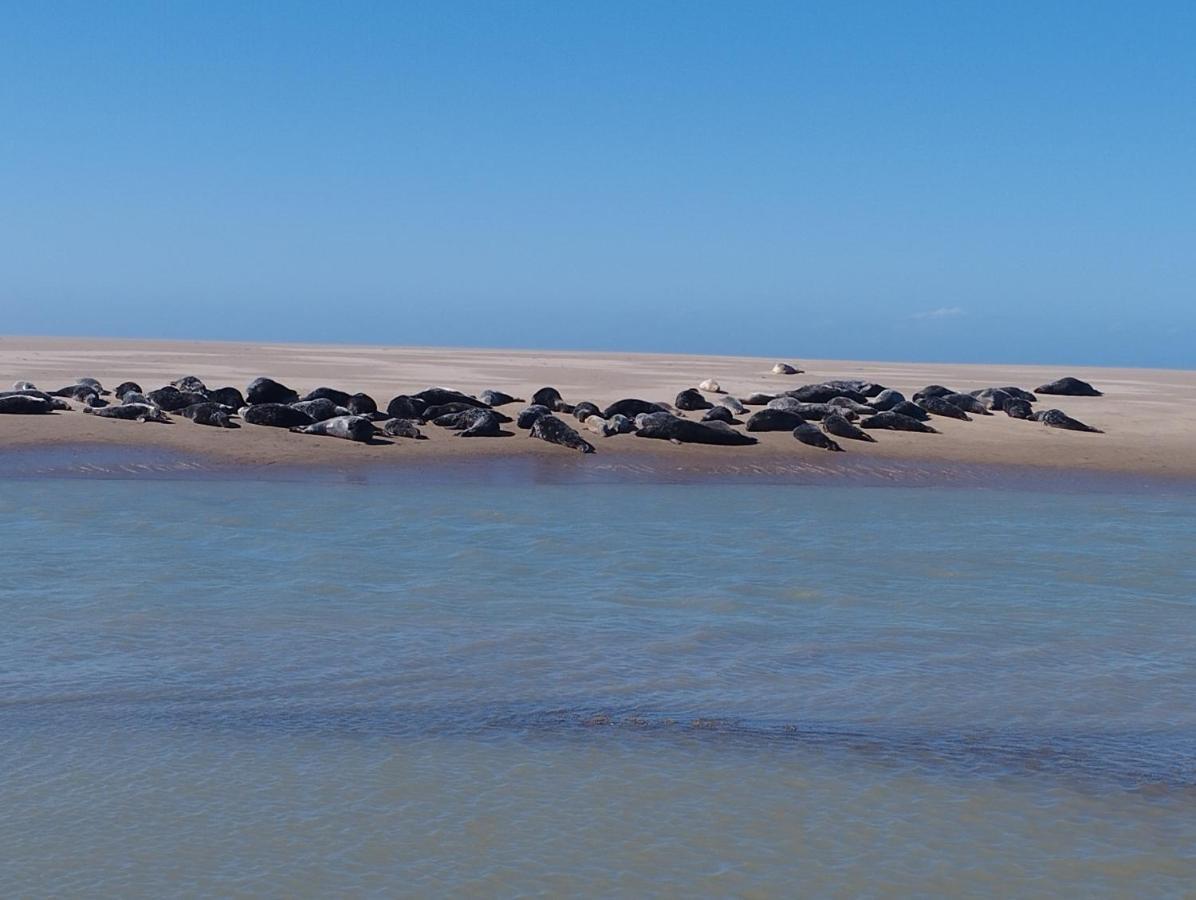 Le Gite De La Salicorne Marck Buitenkant foto